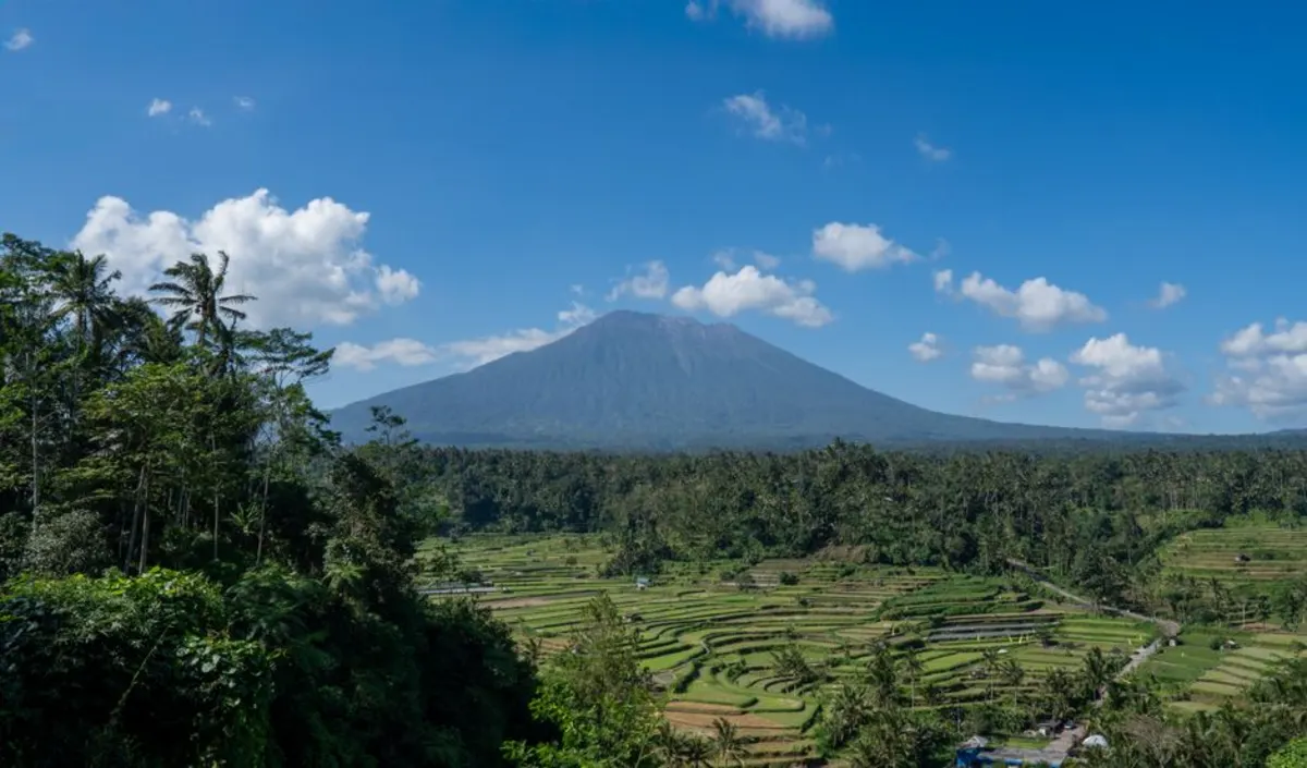 Panduan Lengkap Liburan Keluarga di The SILA'S Agrotourism Bedugul