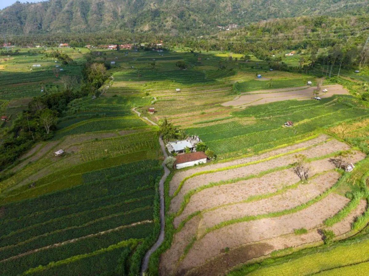 Perlengkapan Penting untuk Menunjang Liburan di Bedugul